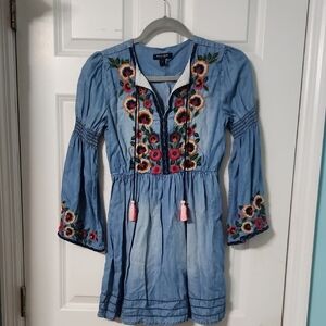 BLU & BLUE Pleated Bishop Sleeve Sundress Embroided